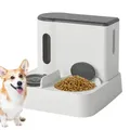 Dog Bowl Set Auto Cat Feeder Dry Food Dispenser 1000ml Automatic Dog Cat Feeder And Water Dispenser