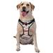 Daiia Watercolor Red Truck And Fir Treedog Harness No-Pull Pet Harnessith 2 Leash Clips Cat Harness And Leash Set Step In Dog Harness For Large Dogs No Accessories Included