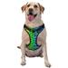 Daiia Multicolored Butterfliesdog Harness No-Pull Pet Harnessith 2 Leash Clips Cat Harness And Leash Set Step In Dog Harness For Large Dogs No Accessories Included