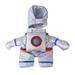 Pet Transformation Into An Astronaut Stands For A Funny Pet Clother Standing Clothes For Cat Astronauts Pet Clother Silver S