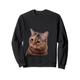 Official Sprechende Katze Meme Sweatshirt