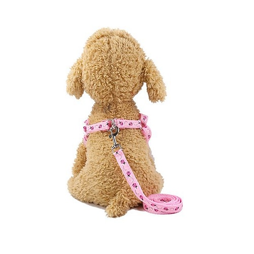 Hunde Katzen Austattungen Geschirre Trainer Gehen Hunde Katzen Geometrisch Fußabdruck / Pfote Heiser Golden Retriever Dalmatiner Image