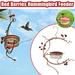 Pengzhipp Bird Feeder Courtyard feeder Red Berries HummingFeeder Solid Durable Garden Supplies Red