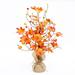 AnuirheiH Fall Thanksgiving Decorations for Home 17.7â€� Lighted Fall Maple Leaves Tree with Warm LEDs for Autumn Decor Battery Powered Fall Maple Tree for Home Tabletop Decor Thanksgiving