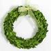 Boxwood World Boxwood Wreath 10 inch Country Boxwood Wreath Wrapped by Natural Preserved Boxwood Leaves Double Side with Silk Ribbon Great Home Decor Round Window Wreath (10 inch)