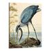 Chilfamy Great Blue Heron Vintage Poster Birds of America Antique Bird Illustration Wall Art (Framed 16x20 Inch)