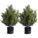 Cedar Artificial Bush Faux Shrub Topiary Artificial Cypress Tree Includes Black Plastic Pot 2 Packs Fake Trees Home Decor for Indoor and Outdoor Faux Plants Outdoor Artificial Greenery Set 24inch