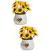 2 Pieces Indoor Plant Pots Indoor Plants Living Room Decorations Livingroom Decor Realistic Flower in Pot Plant Indoor Potted Flower Decoration Sunflower Ornament Potted Plant Ceramics Office