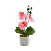 Rainbow Artificial Orchid Flowers Potted Flowers Artificial Flowers Artificial Phalaenopsis Artificial Pink