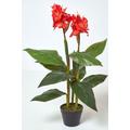 Artificial Canna Lily Plant, 90 cm Tall