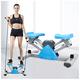 Exercise Stepper for Home, Aerobic Stepper Fitness Legs Arm Full Body Training Exercise Machine, Up-Down Training, Quiet Fitness Stepper Including Resistance Bands, Load-Bearing 100kg