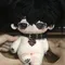 20cm senza caratteristiche carino squisito peluche bambola giocattoli demone farcito Plushie vestire