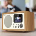 WiFi Internet Digital Radio Bluetooth 5.0 Speakers MP3 Player with LED Digital Display Support U