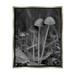 Stupell Industries Bb-072-Floater Forest Mushroom Photography Framed On Canvas by Lil' Rue Print Canvas in Gray | 31 H x 25 W x 1.7 D in | Wayfair