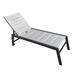 Latitude Run® Shanjida Outdoor Aluminium Chaise Lounge Metal in Gray | 17.1 H x 25.4 W x 74.8 D in | Wayfair 80CD650493104A9B9A5D8ED0157A6143