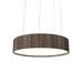 Accord Lighting Cilíndrico 1 - Light Unique Drum LED Chandelier Wood in Brown/Gray/White | 7.09 H x 19.69 W x 19.69 D in | Wayfair 231LED.18