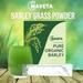 Practical Vitamin Supplements Barley Grass Powder Healthy Portable Easy To Absorb Care Nutrition Powder Safety Green Organic