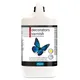 Polyvine Decorators Satin Varnish 4L