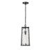 Millennium Lighting Dutton 1 Light Outdoor Hanging Lantern