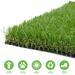 LITA Premium Artificial Grass 6 x 52 (312 Square Feet) Realistic Fake Grass Deluxe Turf Synthetic Turf Thick Lawn Pet Turf -Perfect for indoor/outdoor Landscape - Customized Sizes Available