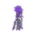 Bilqis Hanging Flowers Artificial Violet Flower Wall Wisteria Basket Hanging Garland Flowers Fake Silk Orchid Fake Flowers Artificial Flowers Fake Flower Flowers Fake