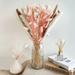 63 Pieces Dry Flowers Pampas Grass Decor Tall Dried Pampas Grass Dried Flower Bouquet White Pampas Grass Dried Flowers Pampas - 17.5 inches