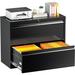 2 Drawers Lateral File Cabinet with Lock Metal Lateral Filing Cabinet with Lock for A4 Size File Folders File Cabinet for Home Office Black