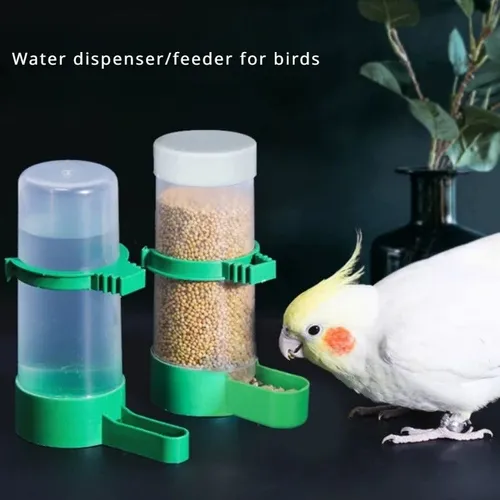 Wasser Feeder Papagei automatische Feeder Vogelfutter Box Vogel Zubehör für Vogelkäfige Geflügel