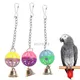 Plastik ball Glocke Vogel Spielzeug bunte Haustier Papagei Schaukel Spielzeug afrikanischen grau