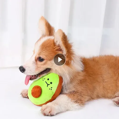 Obst Haustier Spielzeug klingendes Plüsch Kau spielzeug für Hunde Welpen Quietscher Quietschen