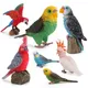 Simulation Papagei Vogel Tier Modell Miniatur Figuren Ornament Statue Landschaft Anlage Hause