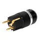 Monosaudio E100G/F100G 99.99% Reinem Kupfer 24K Gold Überzogen Schuko Power Stecker Stecker IEC