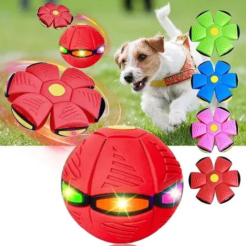 Hundes pielzeug Ball mit Lichtern interaktives Hundes pielzeug Haustier Spielzeug fliegende