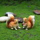 Kawaii Eichhörnchen Figuren Harz künstliche lebendige Eichhörnchen Blumentopf Dekorationen Garten