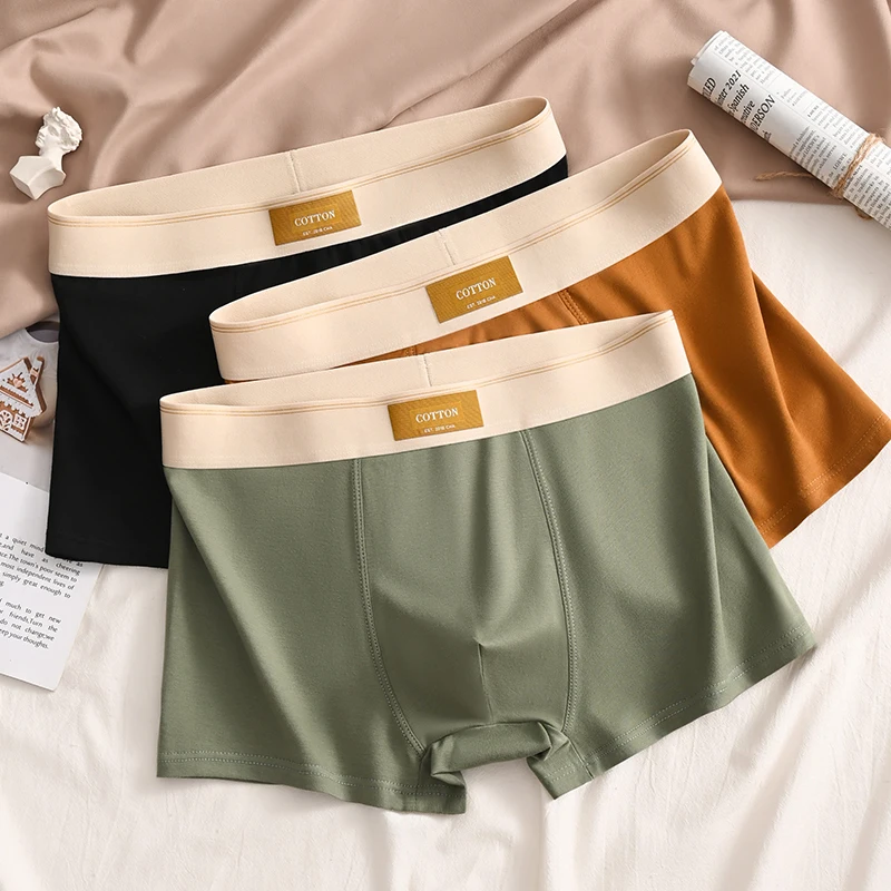 3 stücke Männer Unterwäsche Baumwolle BoxerShorts Hombre Höschen Mann Atmungsaktive Unterhose Sexy Sport Komfort Männliche Boxer Große Größe L-6XL