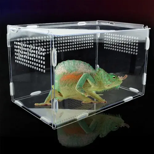 Reptilien zucht box Acryl Terrarium Fütterung sbox transparent für Tiere Reptilien Haustiere