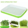 1 pc Micro greens Sprouter Tray Hydro ponik/Sprossen Tablett Kindergarten Topf für Sprout Gartenbau