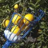 Obstpf lücker Kopf zum Pflücken von Zitrus birne tiefen Korb tragbare Obst fänger Garten pflück