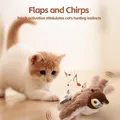 Interaktives Katzen spielzeug wiederauf lad bares Zirpen flattern (kein Fliegen) mit Katzenminze