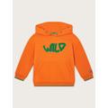 Monsoon Boys Pure Cotton Wild Slogan Hoodie (3-13 Yrs) - 11-12 - Orange Mix, Orange Mix