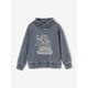 Sweatshirt with Snood Collar, Pirate Ship Motif & Faded Effect for Boys marl grey