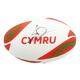 Signed Leigh Halfpenny Ball - Wales Rugby Icon Autograph