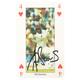 Signed Phiil Simmons Playing Card - West Indies Cricket Autograph