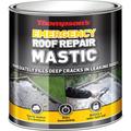 Ronseal Thompsons Emergency Roof Repair Mastic