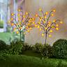 Lot de 2 piquets Physalis LED