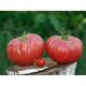 Giant Tomato Seeds - Chinese Beef Vegetable Heirloom Fruit Non Gmo