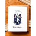 Sup Dog Happy Birthday Card - Puppy Pun Whats Up Party Hat Pet Boston Terrier Bull Frenchie French Bulldog