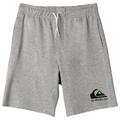 Quiksilver - Kid's Easy Day Jogger Short - Shorts size 8, grey