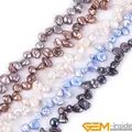 Véritables perles Keshi de culture d'eau douce de forme libre pour bracelets de bijoux perles