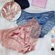 Women's Sexy Lace Sheer Panties with Plus Size Erotic Lingerie Sexy Women's Panties Ladies High